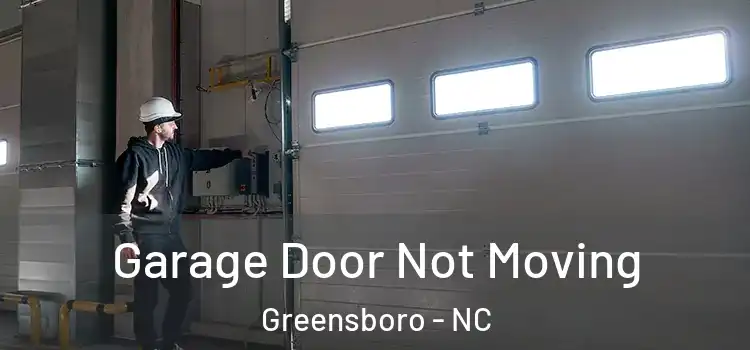  Garage Door Not Moving Greensboro - NC