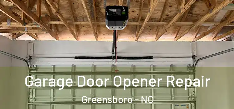  Garage Door Opener Repair Greensboro - NC