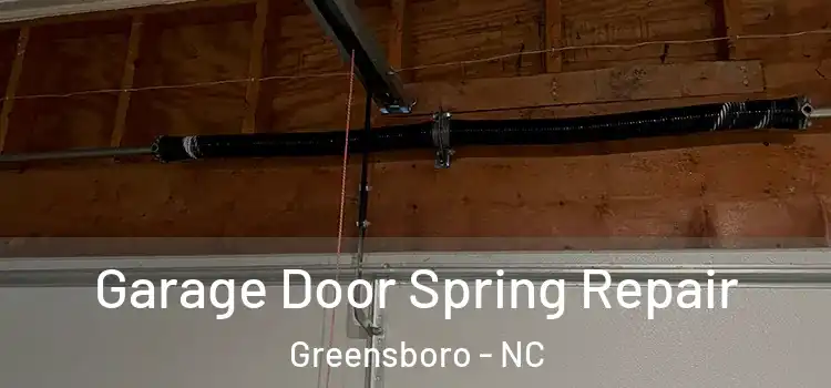  Garage Door Spring Repair Greensboro - NC