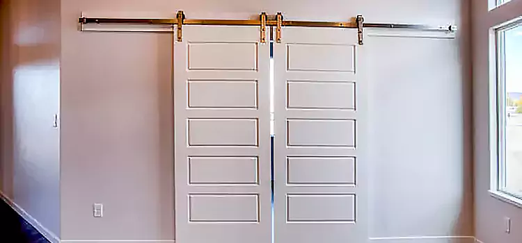Glass Barn Door with Installation Hardware Kit Greensboro