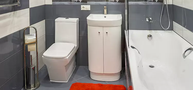 Hansgrohe Shaving Mirror Greensboro